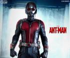 Ant-Man, Человек муравей